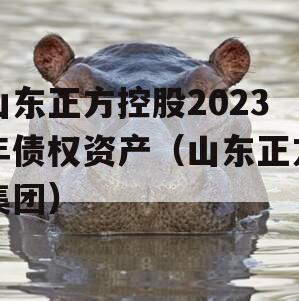 山东正方控股2023年债权资产（山东正方集团）