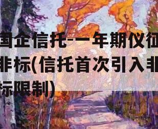国企信托-一年期仪征非标(信托首次引入非标限制)
