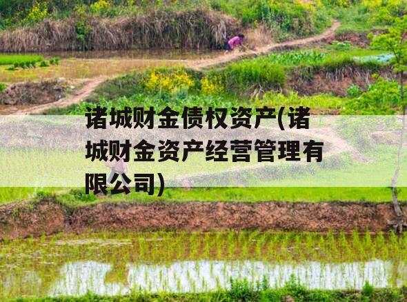 诸城财金债权资产(诸城财金资产经营管理有限公司)