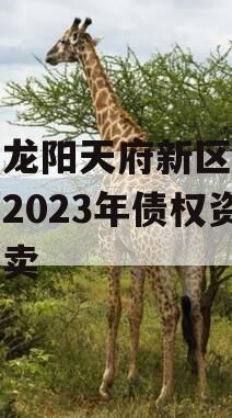 四川龙阳天府新区建设投资2023年债权资产拍卖