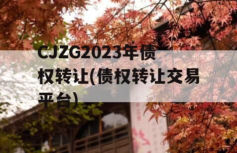 CJZG2023年债权转让(债权转让交易平台)