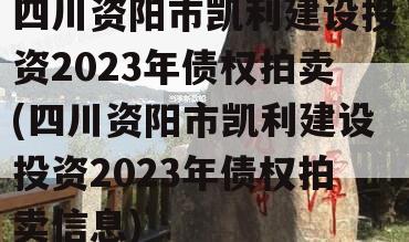 四川资阳市凯利建设投资2023年债权拍卖(四川资阳市凯利建设投资2023年债权拍卖信息)
