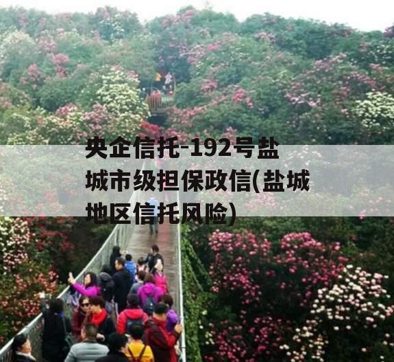 央企信托-192号盐城市级担保政信(盐城地区信托风险)