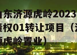 山东济源虎岭2023债权01转让项目（济源虎岭置业）