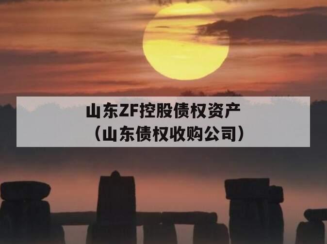 山东ZF控股债权资产（山东债权收购公司）