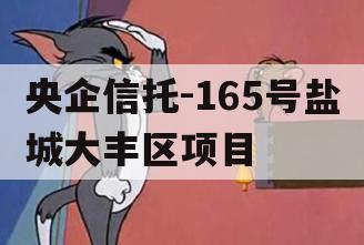 央企信托-165号盐城大丰区项目