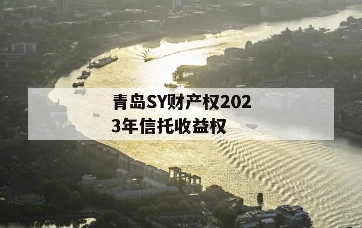 青岛SY财产权2023年信托收益权
