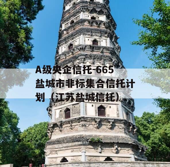 A级央企信托-665盐城市非标集合信托计划（江苏盐城信托）
