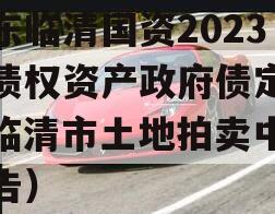 山东临清国资2023年债权资产政府债定融（临清市土地拍卖中标公告）