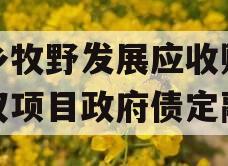 新乡牧野发展应收账款债权项目政府债定融