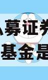 智选X私募证券投资基金(智选基金是什么)