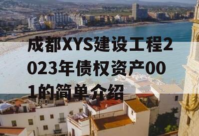 成都XYS建设工程2023年债权资产001的简单介绍