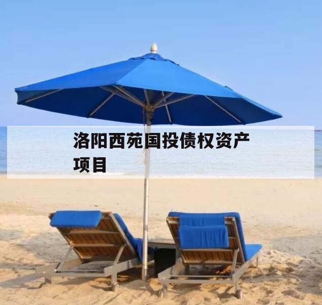 洛阳西苑国投债权资产项目