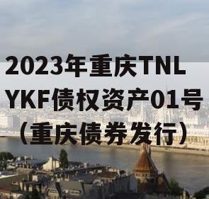 2023年重庆TNLYKF债权资产01号（重庆债券发行）