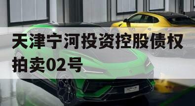 天津宁河投资控股债权拍卖02号