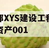 成都XYS建设工程债权资产001
