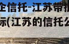 央企信托-江苏带抵押非标(江苏的信托公司)