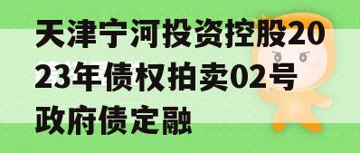天津宁河投资控股2023年债权拍卖02号政府债定融