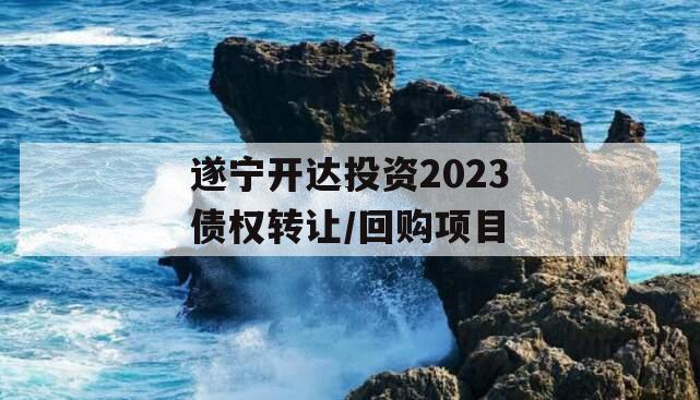 遂宁开达投资2023债权转让/回购项目