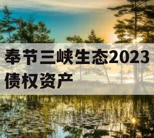 奉节三峡生态2023债权资产