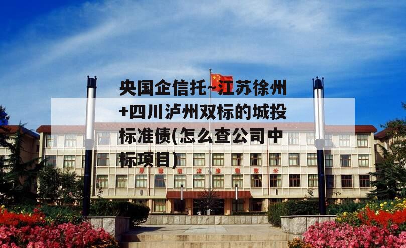 央国企信托～江苏徐州+四川泸州双标的城投标准债(怎么查公司中标项目)