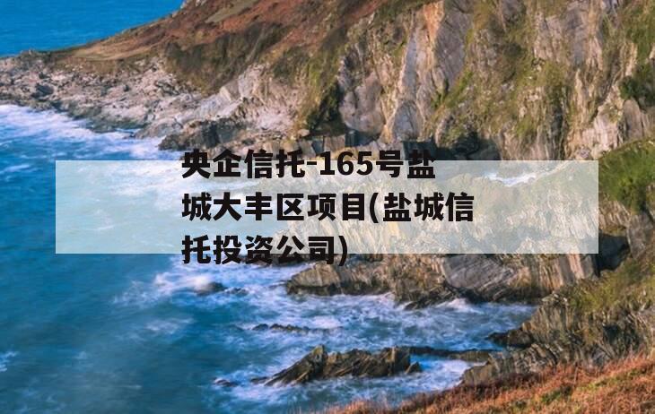 央企信托-165号盐城大丰区项目(盐城信托投资公司)
