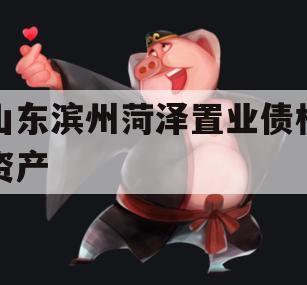 山东滨州菏泽置业债权资产