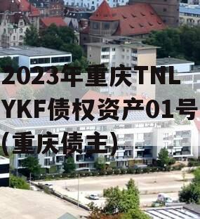 2023年重庆TNLYKF债权资产01号(重庆债主)