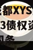 包含成都XYS建设工程2023债权资产001的词条