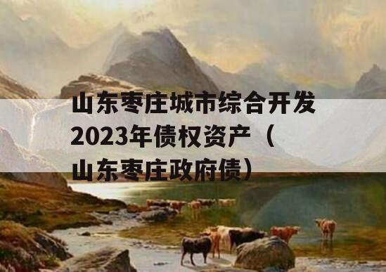 山东枣庄城市综合开发2023年债权资产（山东枣庄政府债）