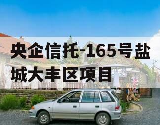 央企信托-165号盐城大丰区项目