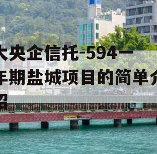 大央企信托-594一年期盐城项目的简单介绍