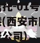 国企信托-01号西安航空港(西安市国际信托投资公司)