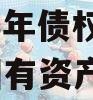 2023年山东临清国资2023年债权资产(临清国有资产管理有限公司)