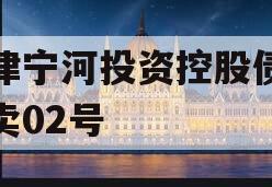 天津宁河投资控股债权拍卖02号