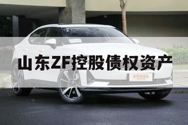 山东ZF控股债权资产
