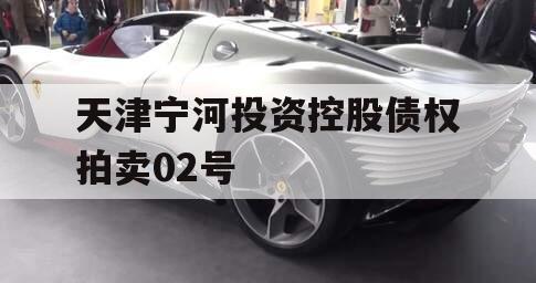 天津宁河投资控股债权拍卖02号