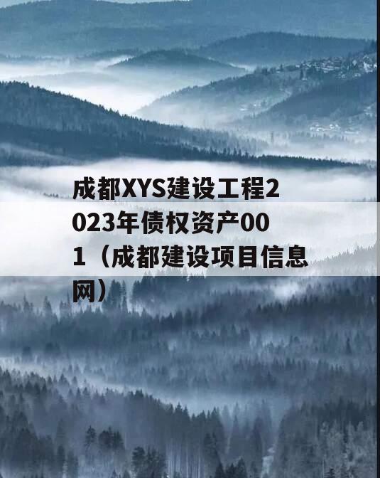成都XYS建设工程2023年债权资产001（成都建设项目信息网）