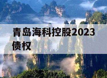 青岛海科控股2023债权