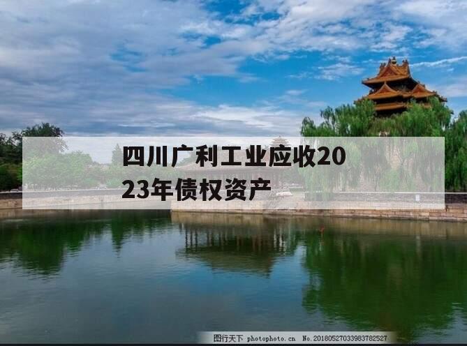 四川广利工业应收2023年债权资产