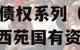 洛阳西苑国有资本2023年债权系列（河南洛阳西苑国有资本2023年债权系列）