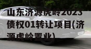 山东济源虎岭2023债权01转让项目(济源虎岭置业)