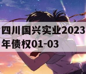 四川国兴实业2023年债权01-03