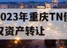 2023年重庆TN债权资产转让