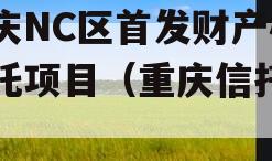 重庆NC区首发财产权信托项目（重庆信托拍卖）