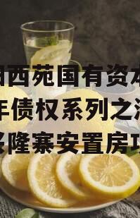 洛阳西苑国有资本2023年债权系列之涧西区兴隆寨安置房项目