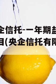 央企信托-一年期盐城项目(央企信托有限公司)