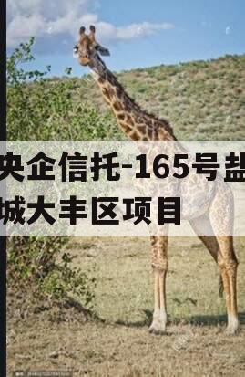 央企信托-165号盐城大丰区项目