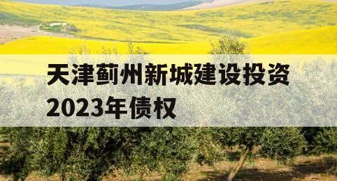 天津蓟州新城建设投资2023年债权