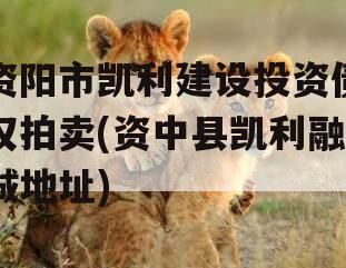 资阳市凯利建设投资债权拍卖(资中县凯利融城地址)